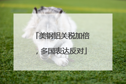 美钢铝关税加倍，多国表达反对