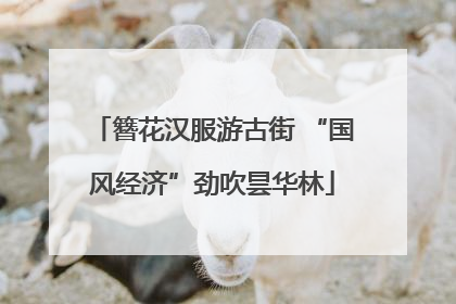 簪花汉服游古街 “国风经济”劲吹昙华林