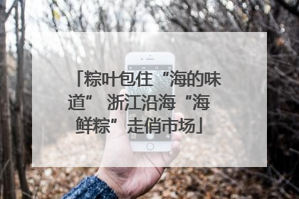 粽叶包住“海的味道” 浙江沿海“海鲜粽”走俏市场