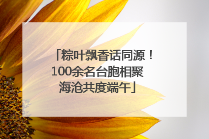粽叶飘香话同源！100余名台胞相聚海沧共度端午