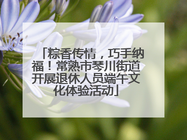 粽香传情，巧手纳福！常熟市琴川街道开展退休人员端午文化体验活动