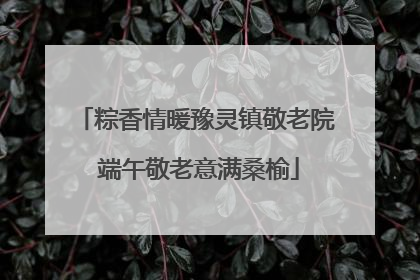 粽香情暖豫灵镇敬老院 端午敬老意满桑榆