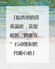 粽香里的青春温度，花堤社区“鹤耋安”行动架起跨代暖心桥