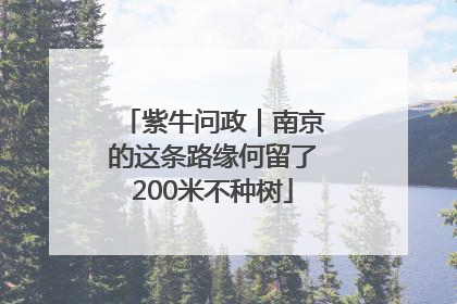 紫牛问政｜南京的这条路缘何留了200米不种树
