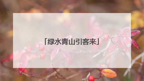 绿水青山引客来