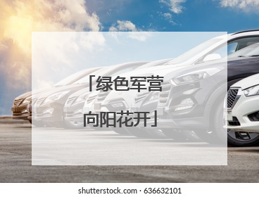 绿色军营 向阳花开