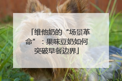 维他奶的“场景革命”：果味豆奶如何突破早餐边界