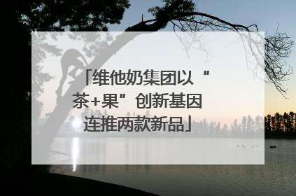 维他奶集团以“茶+果”创新基因连推两款新品