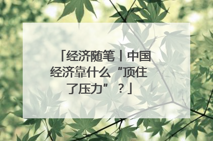 经济随笔丨中国经济靠什么“顶住了压力”？