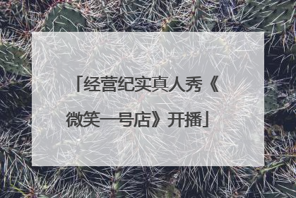 经营纪实真人秀《微笑一号店》开播
