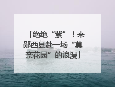 绝绝“紫”！来郧西县赴一场“莫奈花园”的浪漫