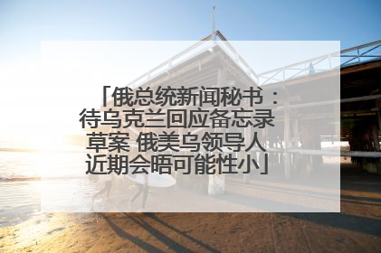俄总统新闻秘书：待乌克兰回应备忘录草案 俄美乌领导人近期会晤可能性小