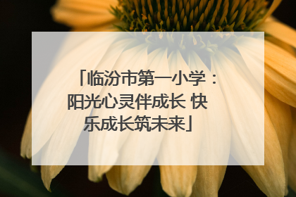 临汾市第一小学：阳光心灵伴成长 快乐成长筑未来
