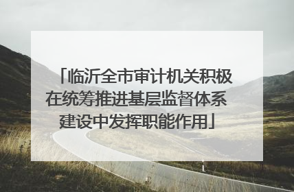 临沂全市审计机关积极在统筹推进基层监督体系建设中发挥职能作用