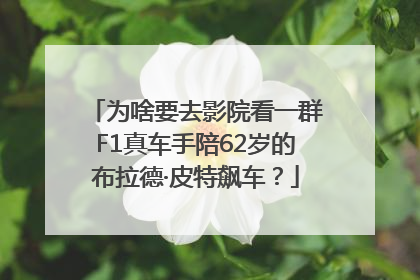 为啥要去影院看一群F1真车手陪62岁的布拉德·皮特飙车？