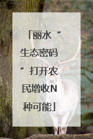 丽水“生态密码”打开农民增收N种可能