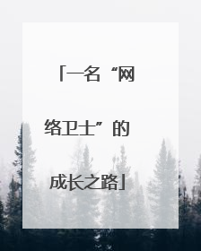 一名“网络卫士”的成长之路