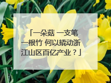 一朵菇 一支笔 一根竹 何以撬动浙江山区百亿产业？