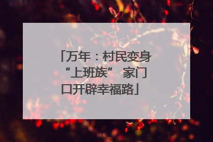 万年：村民变身“上班族” 家门口开辟幸福路