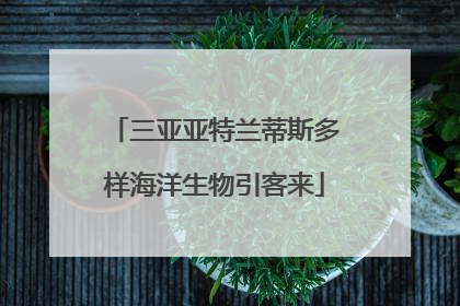 三亚亚特兰蒂斯多样海洋生物引客来