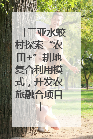 三亚水蛟村探索“农田+”耕地复合利用模式，开发农旅融合项目