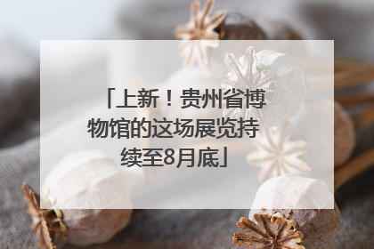 上新！贵州省博物馆的这场展览持续至8月底