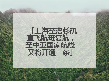上海至洛杉矶直飞航班复航，至中亚国家航线又将开通一条