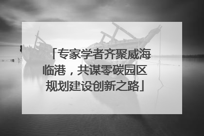专家学者齐聚威海临港，共谋零碳园区规划建设创新之路
