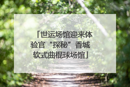 世运场馆迎来体验官“探秘”香城软式曲棍球场馆