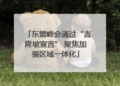 东盟峰会通过“吉隆坡宣言” 聚焦加强区域一体化