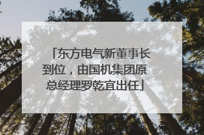 东方电气新董事长到位，由国机集团原总经理罗乾宜出任
