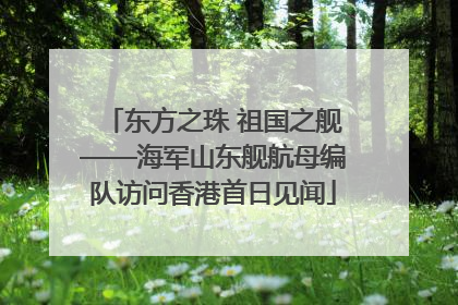 东方之珠 祖国之舰——海军山东舰航母编队访问香港首日见闻