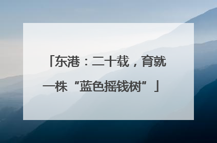 东港：二十载，育就一株“蓝色摇钱树”