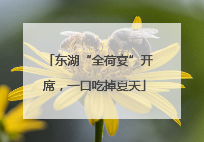 东湖“全荷宴”开席，一口吃掉夏天