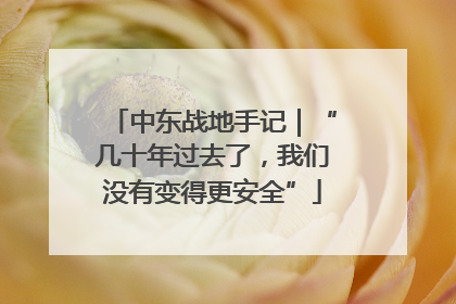 中东战地手记｜“几十年过去了，我们没有变得更安全”
