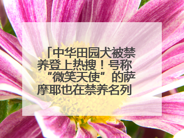 中华田园犬被禁养登上热搜！号称“微笑天使”的萨摩耶也在禁养名列 网友不解西安多部门回应