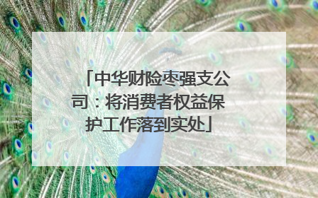 中华财险枣强支公司：将消费者权益保护工作落到实处