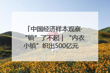 中国经济样本观察·“镇”了不起｜“内衣小镇”织出500亿元“里子产业”