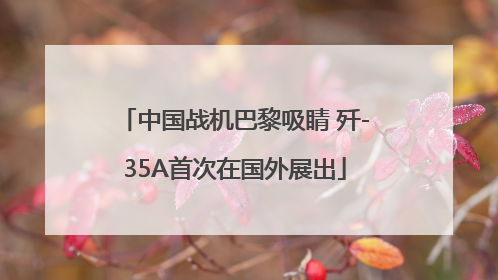 中国战机巴黎吸睛 歼-35A首次在国外展出