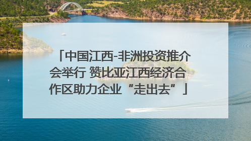 中国江西-非洲投资推介会举行 赞比亚江西经济合作区助力企业“走出去”