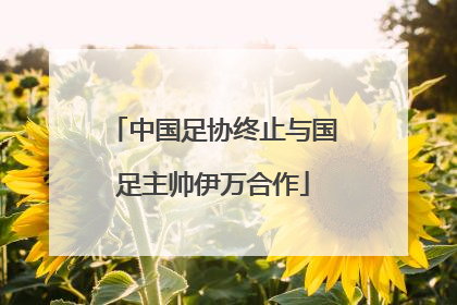 中国足协终止与国足主帅伊万合作