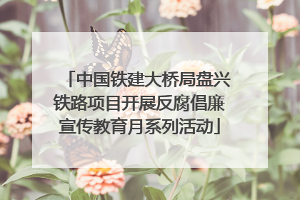 中国铁建大桥局盘兴铁路项目开展反腐倡廉宣传教育月系列活动