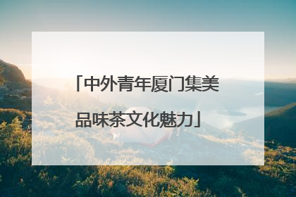 中外青年厦门集美品味茶文化魅力