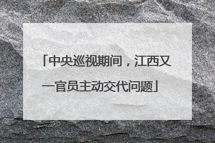 中央巡视期间，江西又一官员主动交代问题