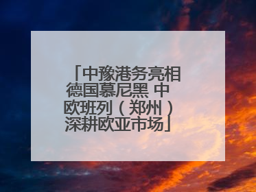 中豫港务亮相德国慕尼黑 中欧班列（郑州）深耕欧亚市场