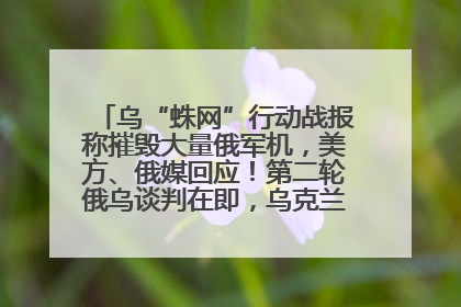 乌“蛛网”行动战报称摧毁大量俄军机，美方、俄媒回应！第二轮俄乌谈判在即，乌克兰提出三大诉求