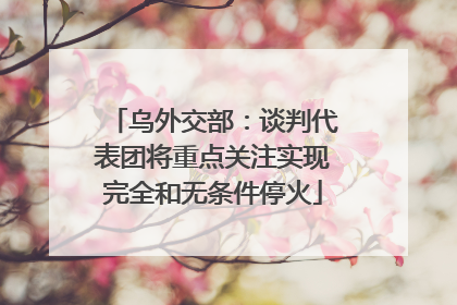 乌外交部：谈判代表团将重点关注实现完全和无条件停火