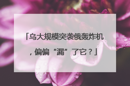 乌大规模突袭俄轰炸机，偏偏“漏”了它？