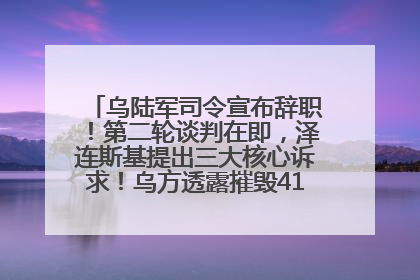 乌陆军司令宣布辞职！第二轮谈判在即，泽连斯基提出三大核心诉求！乌方透露摧毁41架俄战略轰炸机