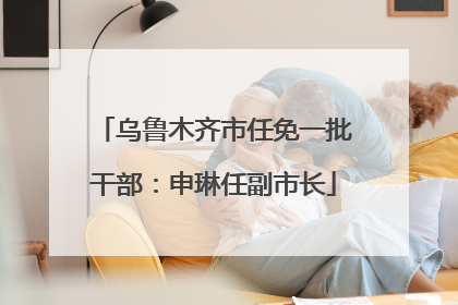 乌鲁木齐市任免一批干部：申琳任副市长